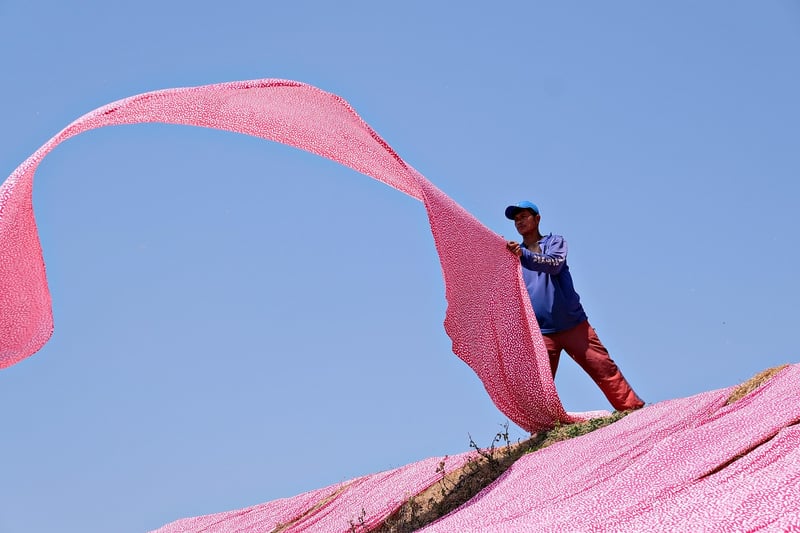 Renewed Textiles